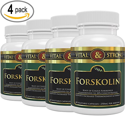 48-5-Stars-Forskolin-Pure-Coleus-Forskohlii-Root-Standardized-to-20-Weight-Loss-Supplement-and-Appetite-Suppressant-Highly-Recommended-Product-for-Fat-Burning-and-Melting-Belly-Fat-The-Best-Forskolin--0-5