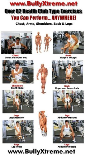 isometric back exercises pdf