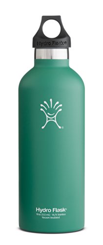 Hydro-Flask-Stainless-Steel-Drinking-Bottle-Evergreen-18-Ounce-0