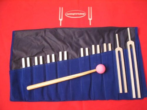 9-Sacred-Solfeggio-Tuning-Forks-Bodytuners-By-Tuningforkshop-Including-528-DNA-for-Healing-0
