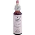 Bach-Flower-Remedies-Rock-Rose-Flower-Essence-20-ml-0