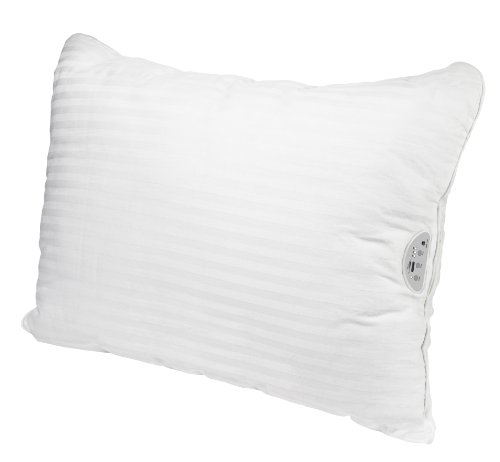 Conair-Sound-Therapy-Pillow-0